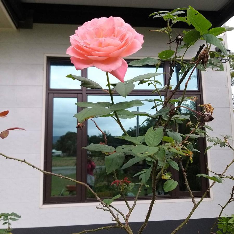 Futian B&B Ji'an Eksteriør billede